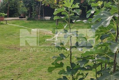 Casă/Vila + Teren 13 Ari de Vânzare |Lisaura/Suceava I 280.000 Euro - 30