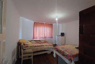 Casa si teren Baia de Cris - 14