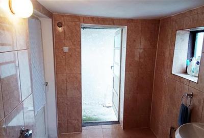 Casa individuala de vanzare in Berzasca, jud. Caras-Severin - 29