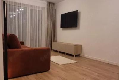 Garsonieră decomandată, mobilată în Theodor Pallady