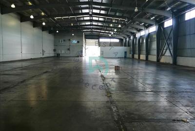 Vanzare hala industriala Brasov, Parc Industrial Prejmer - 4