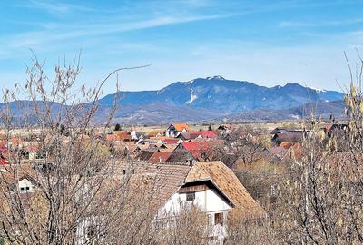 Comision 0%! Teren superb de 17000mp la 5 min de Castelul Bran, 13 euro/mp - 3