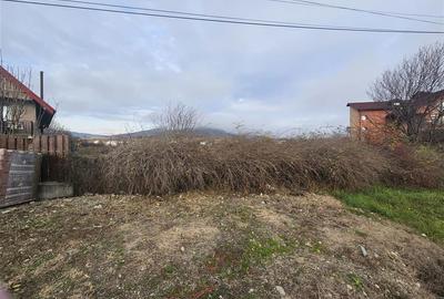 TEREN INTRAVILAN 10.700 mp  DE VANZARE  IN TG.OCNA - 3