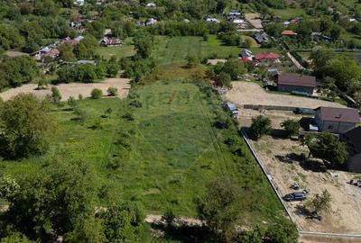 Teren agricol intravilan de 7500 mp, în Parava