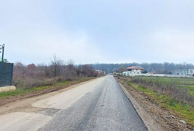 Teren de vânzare – 1000 mp în Mogoșoaia, excelentă investiție - 1