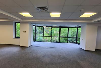 Birou, 152 mp în Herăstrău