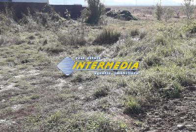 Teren Intravilan de vanzare 533mp, in Oarda cu utilitati! - 3