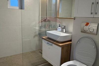 Apartament de inchiriat 3 camere plus Garaj complet RENOVAT - 4