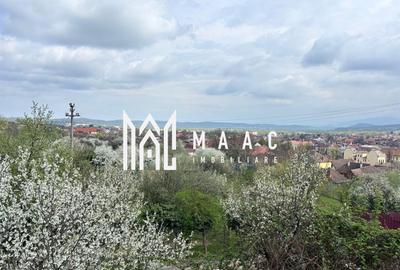 Teren Intravilan | 855 MP | Săliște - 3
