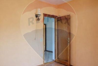Vila rezidential/  gradina de vis/sera/ panouri/ Sanpetru! - 20