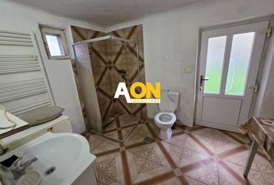 Casa cu 2 camere, 300 mp teren, pretabila pt. muncitori, Cetate - 9
