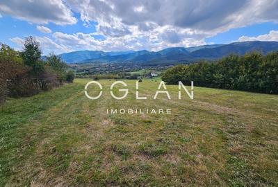 Teren Tocile (parcelabil) 3500 mp - 14