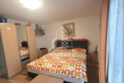 Casa insiruita,3 dormitoare,2 bai,Dumbravita - 14