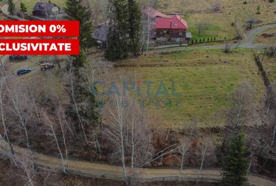 Teren constructie CABANA/CASA,  2980 MP cu utilitati, Dealu Negru, Calatele - 1