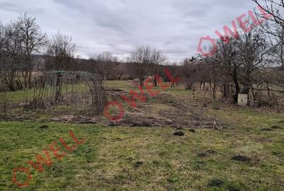 🏡 Casă de vânzare în Mitrești - 15