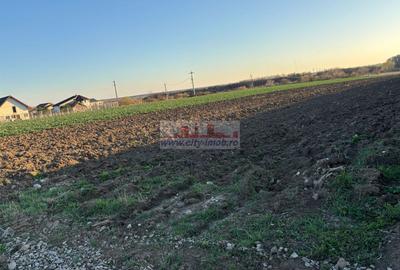 Vanzare teren constructie casa Snagov Sat Izvorani , Jud Ilfov - 5