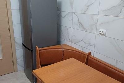 Inchiriere Apartament 2 Camere Dristor - 8