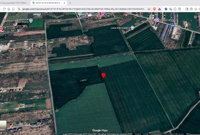 Teren extravilan 18.200 mp Saftica Balotesti - 1