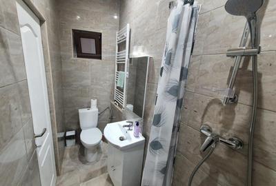 Cabana cu accesc la lac, 1400mp teren Colibita - 11