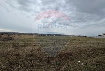 Teren intravilan Fantanele -750 mp - 1