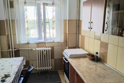 Vanzare vapartament 2 camere zona Moghioros - Parc - 5