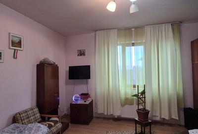 De vanzare casa cu teren in Curteni - 9