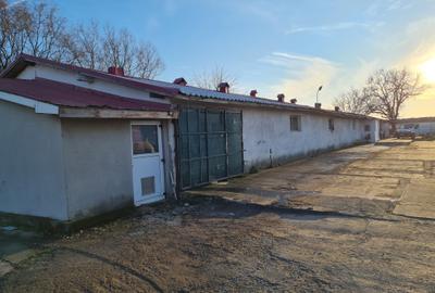 Hale de vanzare- suprafata 500 mp - Zona Dirvari- Ciorogarla - 1