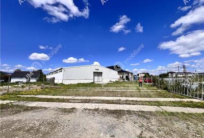 Hala de 918 mp utili si teren de 2400 mp cu acces de tir in Talmaciu - 8