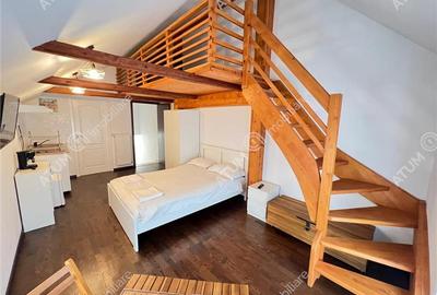 Casa ultracentrala compusa din 2 garsoniere zona Teatru Gong din Sibiu - 6