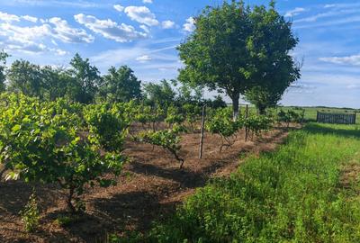 VANZARE CASA INDIVIDUALA - 29