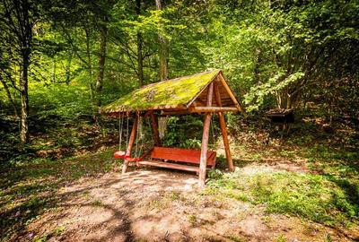 FILM! Complex turistic apreciabil, pe 2.000 mp teren in Cheile Rasnoavei, Brasov - 7