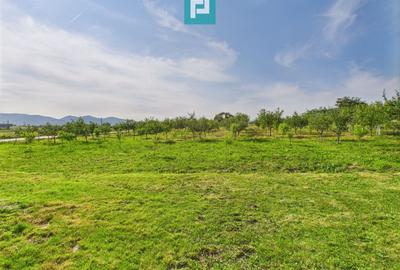 Casă cu teren de 4707 mp în Hălmăgel, județul Arad - 16