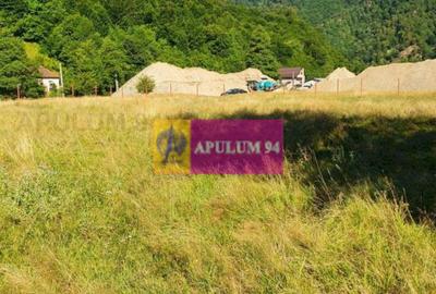 Teren Județul Vâlcea - Brezoi, Valea lui Stan - 35
