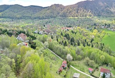 Teren intravilan Bran- Predelut - 14