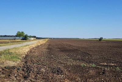 Teren intravilan de vânzare Brănești – DN3, deschidere 60 ml  investie - 8