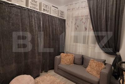 De vazare casa  moderna cu un miniapartament suplimentar la demisol in Hlincea - 14