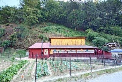 Casa renovata cu acces usor, langa padure - 1