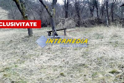 Teren Construcții intravilan de 1450 mp, în Pâclișa