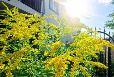 Casă individuală cu 5 camere în Tărlungeni