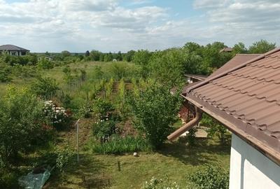 Moara Vlasiei , Casa cu teren 4250 m2 - 7