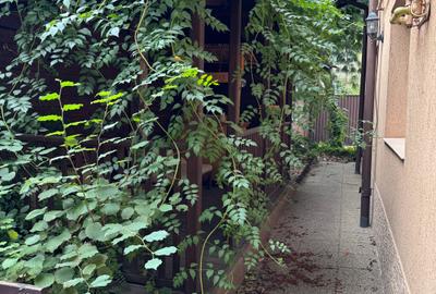 Vila ideala pentru 1-2 firme, gradinita, cresa sau 2 familii - 14