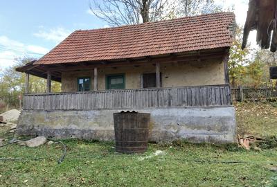 Casă de vânzare lemn tradițională, în Țara Zarandului! - 6