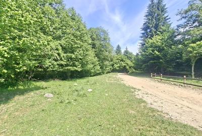 Teren intravilan superb Râșnov Glăjerie - 8