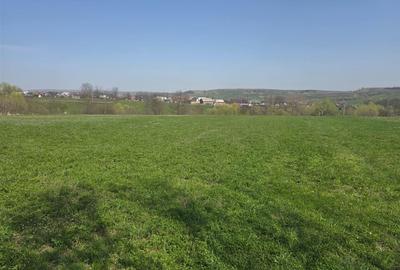 Teren Intravilan 1,5 Ha | Deschidere 180ml | T-7760 - 2