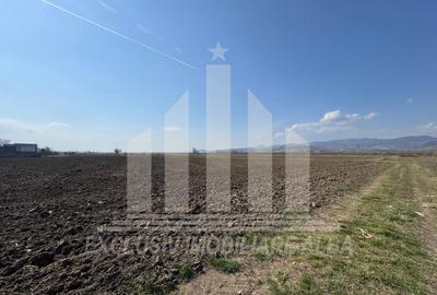 Teren intravilan | 1600 mp | 16 ml deschidere | Oarda de Jos - 2
