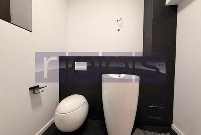 ÎNCHIRIERE BIROU INDIVIDUAL 20 MP – VILĂ ELEGANTĂ, ZONĂ PREMIUM - 4