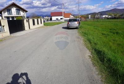 Teren 2,505mp Sighetu Marmatiei / Strada Lazul Sesului - 9