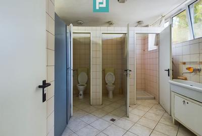 Spațiu industrial cu platformă betonată și teren - 14