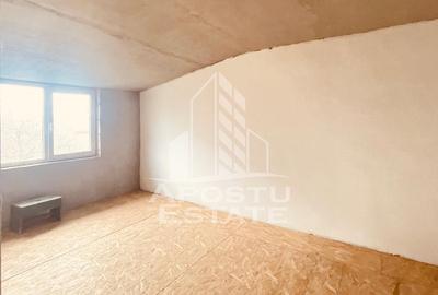 Casa “la gri” cu gradina, zona Calea Aurel Vlaicu - Bujac - 17
