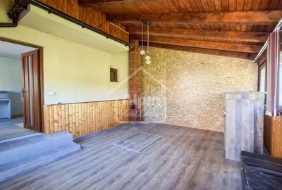 Duplex Zona Linistita Carpinis - 16